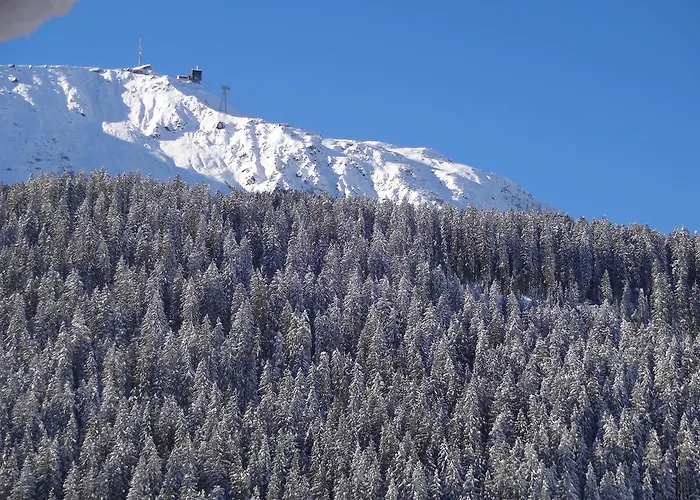 Apartament Hus Pravis *